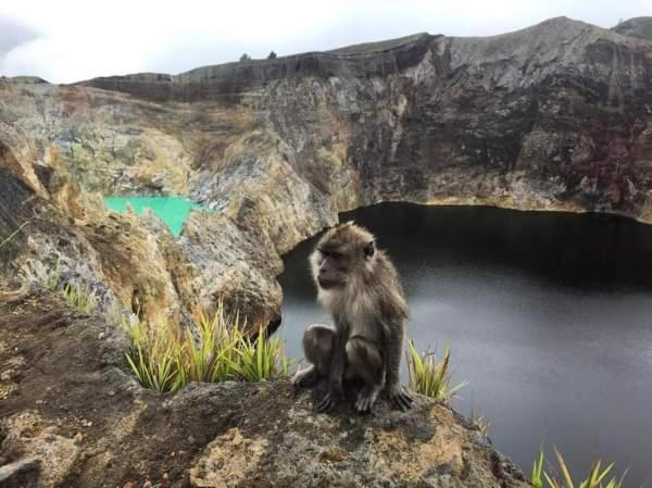 Andy'S Lodge Kelimutu Dış mekan fotoğraf